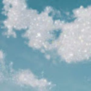 Meet your Posher, Cheyenne